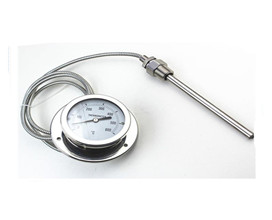 Pressure thermometer