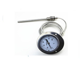 Pressure thermometer